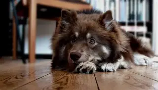 关于%N誮(银h襔?鋓?D脓蜊U桤詒??丁Z的信息-优德娱乐入口